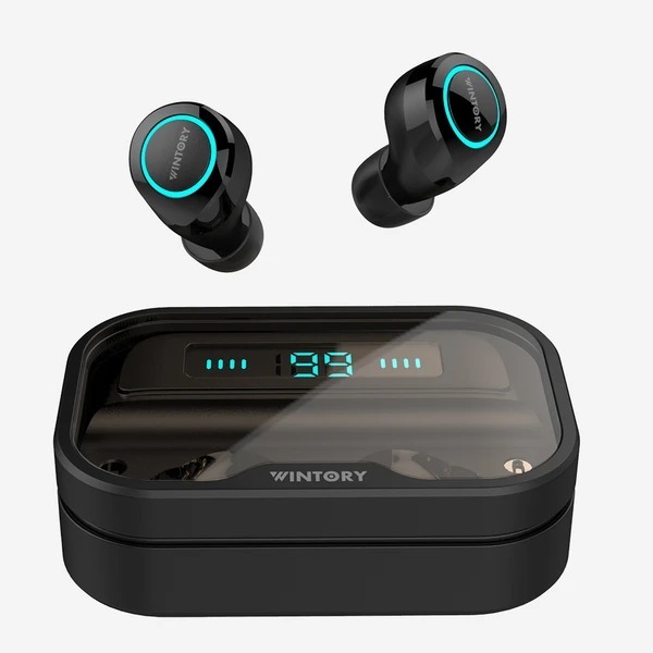 UiiSii Wintory Dual 2 Hybrid Dual Driver Wireless Earbuds