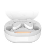 TANCHJIM ECHO 10mm Beryllium Dynamic Driver In-ear Earbuds