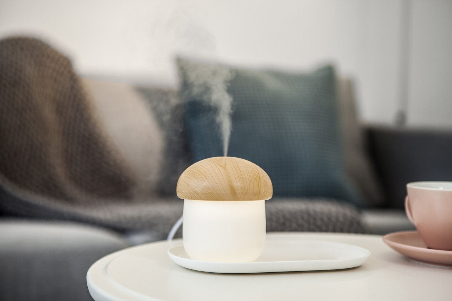 Jisulife JM02 Mushroom Humidifier With LED Gadget Studio BD