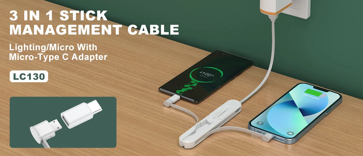 LDNIO LC130 3 in 1 Cable Storage Box