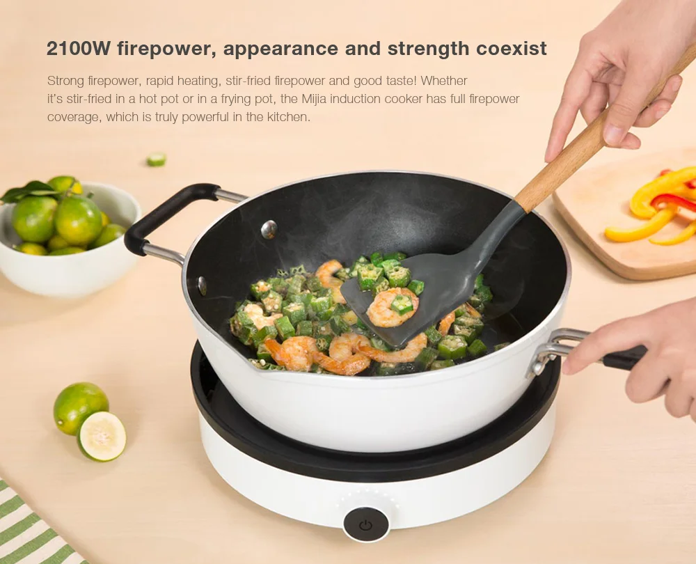 Xiaomi Mijia Induction Cooker Youth Edition compact kitchen appliance
