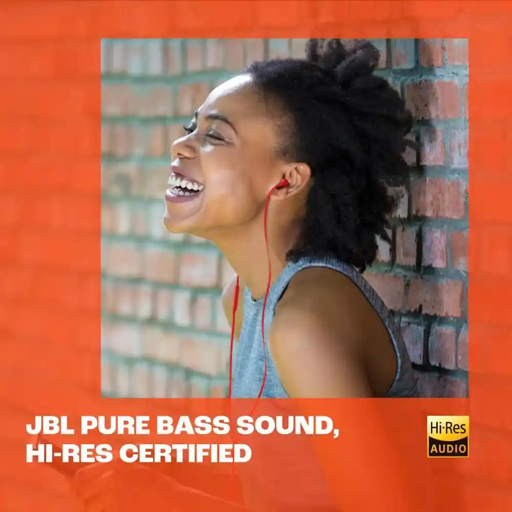 JBL Tune 310C Type C Hi-Res with DAC in-Ear Headphones 3-Button Remote with Microphone