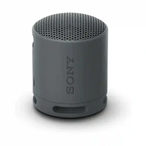 SONY SRS-XB100 affordable portable speaker