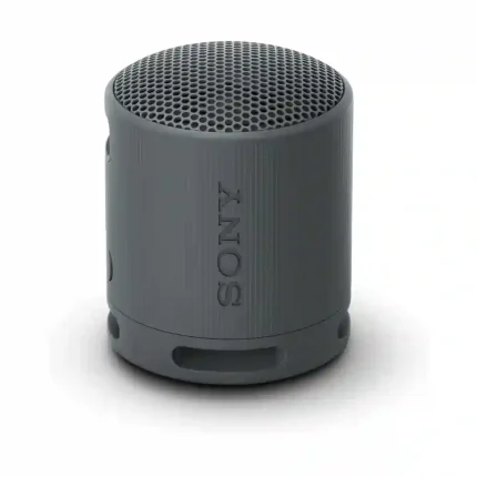 SONY SRS-XB100 affordable portable speaker