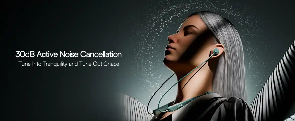 Rockerz 210 ANC 30dB noise cancellation