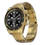 Fire-Boltt Astra gold-black stainless steel strap