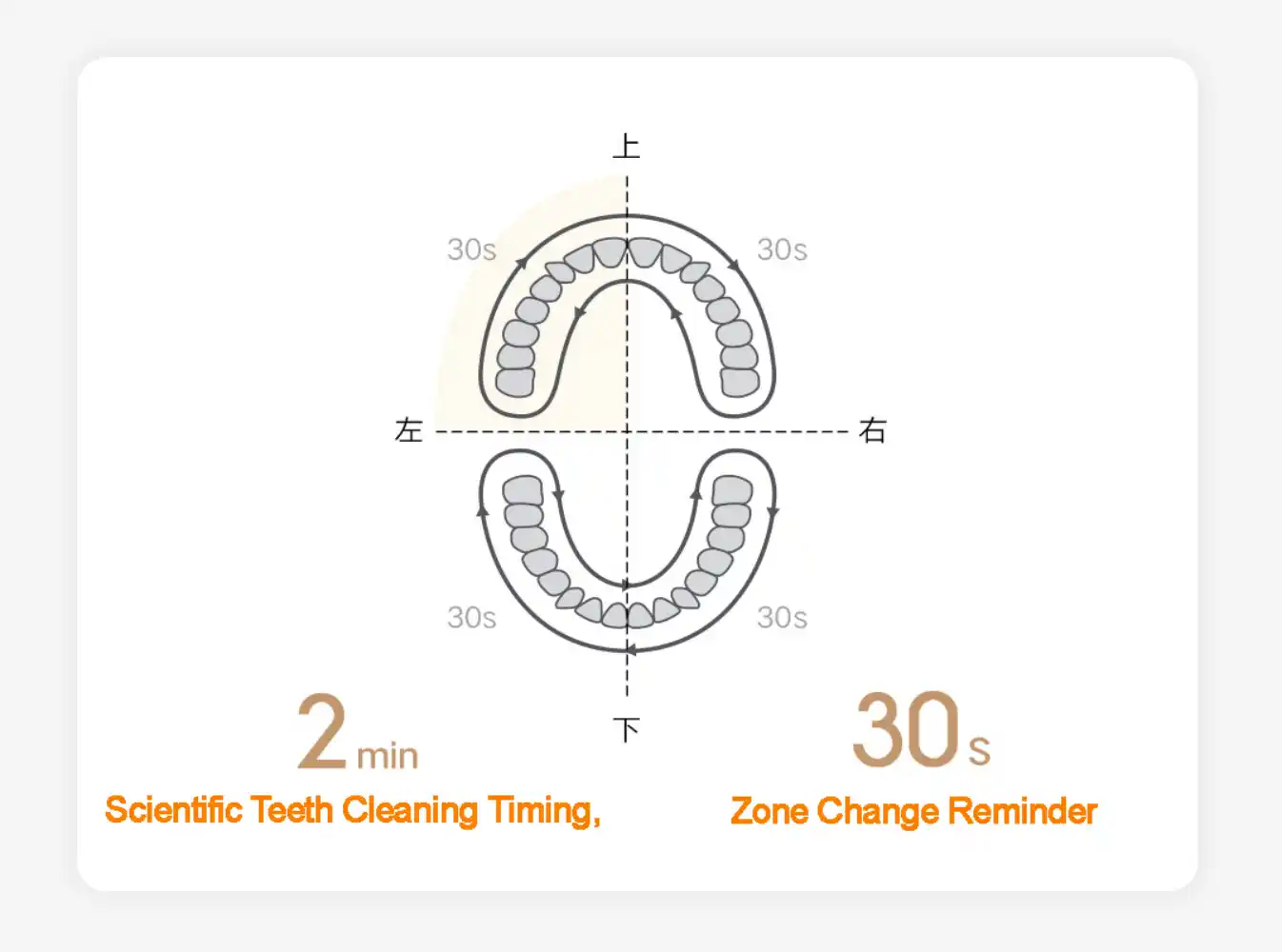Xiaomi T200 Sonic Electric Toothbrush price in BD