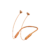 Cosmic Orange